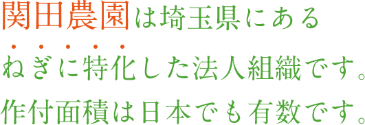 関田農園は埼玉県にあるねぎに特化した法人組織です。作付面積は日本でも有数です。